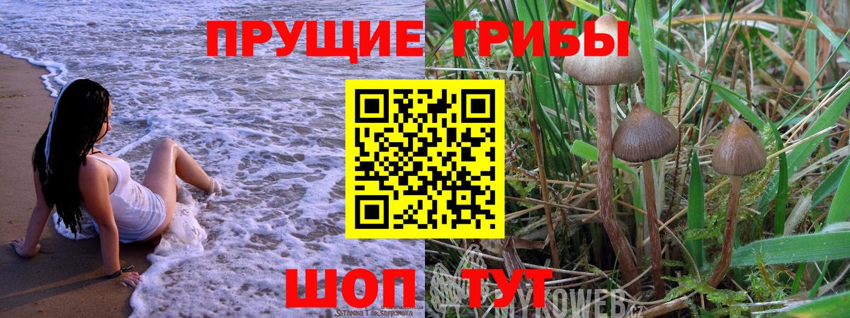 Псилоцибиновые грибы Psilocybine cubensis Воткинск