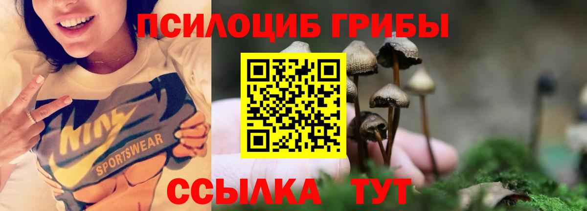 даркнет сайт  Вход с VPN  Воткинск  Галлюциногенные грибы мицелий 